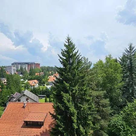 Apartmán Forest Dreams Lux